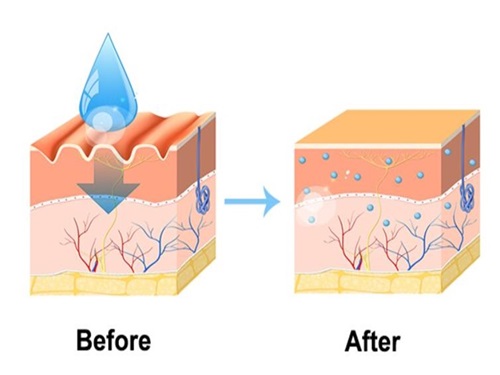 Ứng dụng rộng rãi của Phytosphingosine trong lĩnh vực chăm sóc da